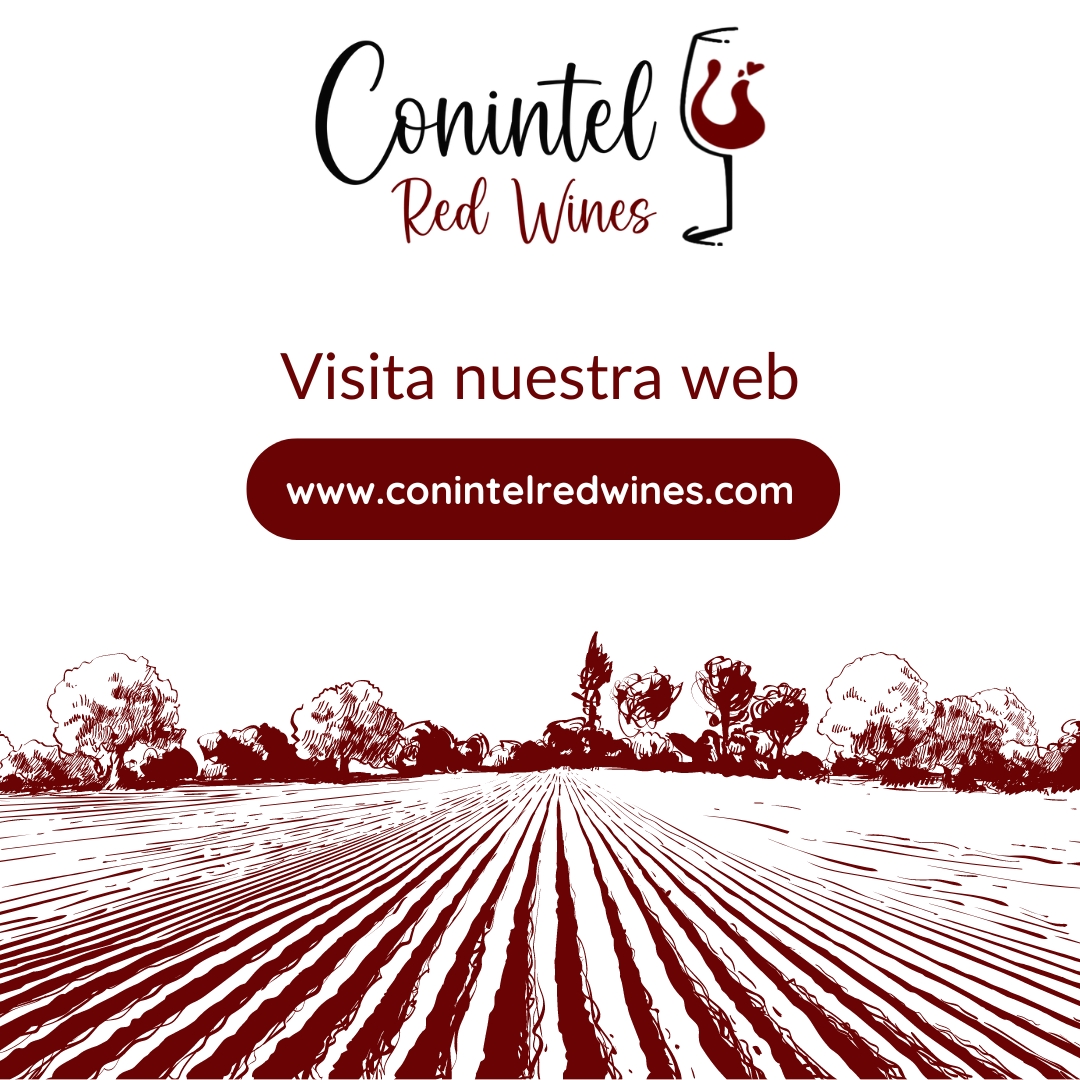 Conintel