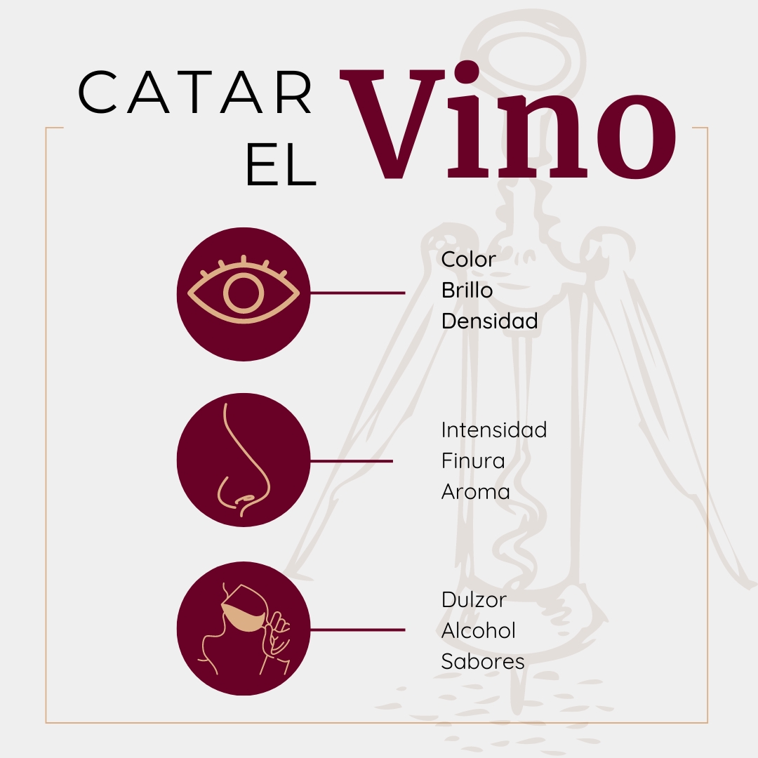 Catar el vino